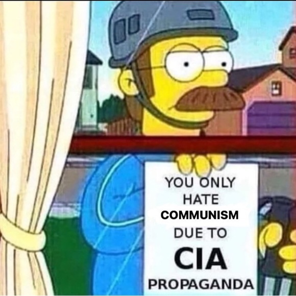 Meet your Posher, Rob - Picture 4 of 16